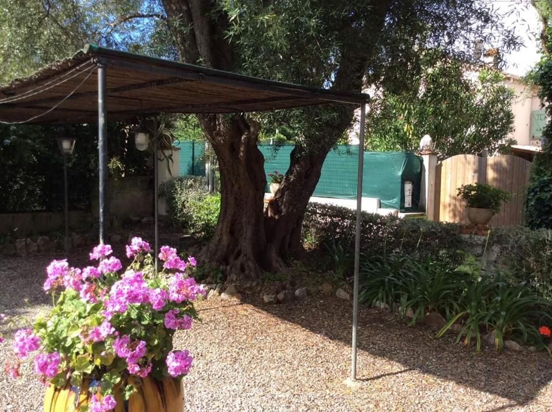 Villa Lisemanu Juan-les-Pins Esterno foto